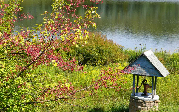  The lake, a wishingwell, and a crabapple bish