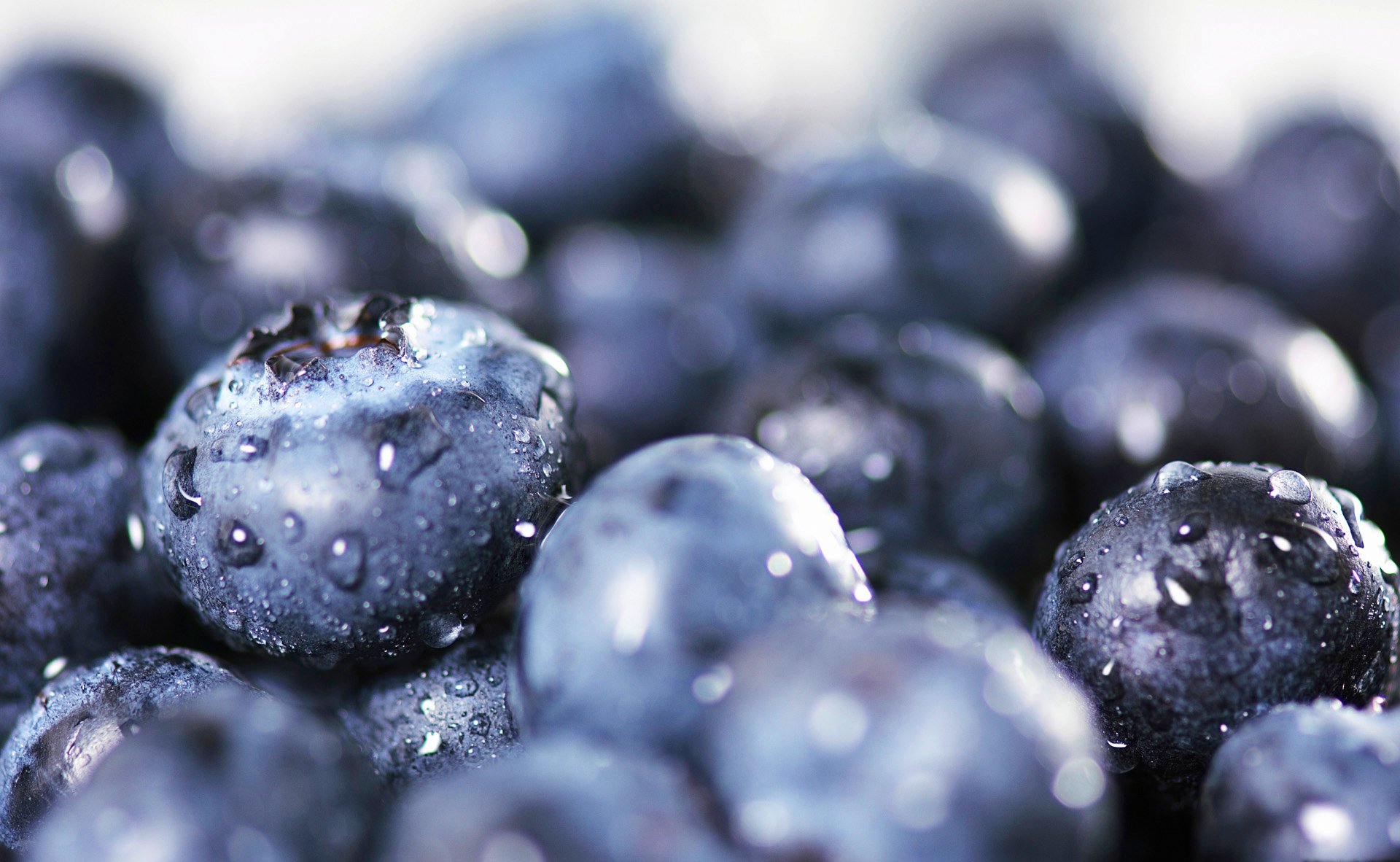 Food Blueberry HD Wallpaper