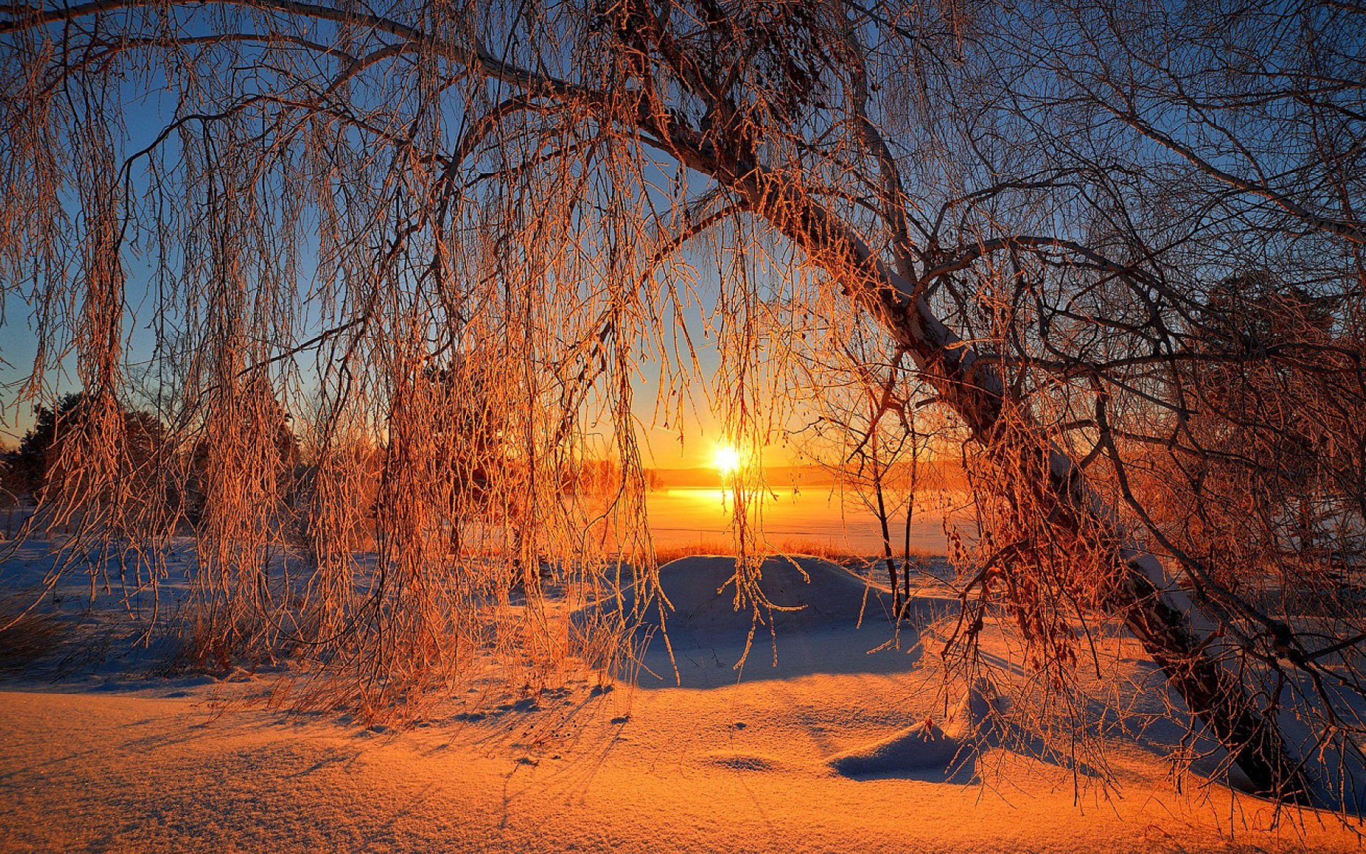 Download Snow Sun Tree Sunset Nature Winter HD Wallpaper