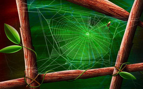 Artistiek Spider Web Groen Spin Hout HD Wallpaper | Achtergrond