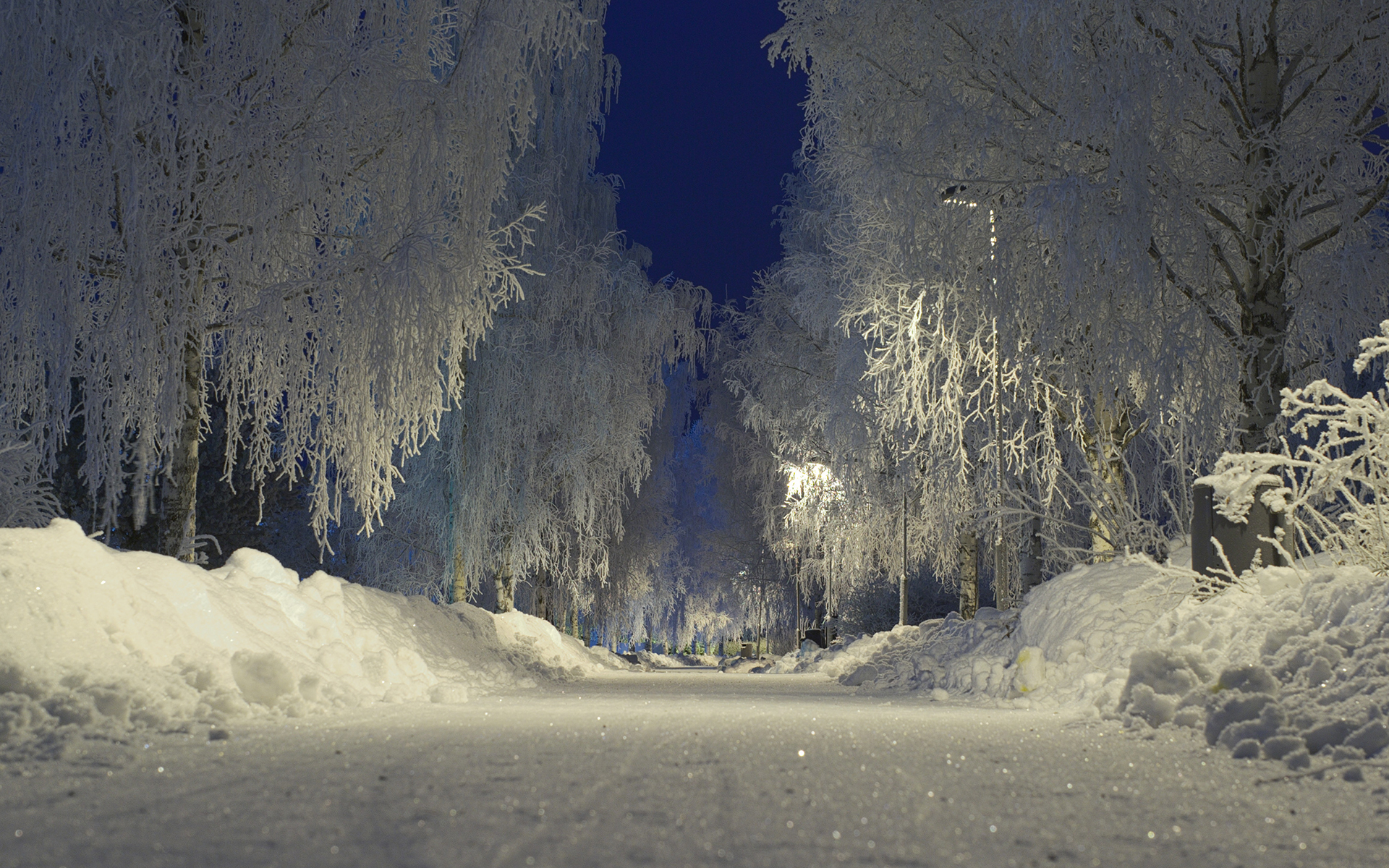 Ночные сугробы. Природа зима. Снежные места. Зима ночь. Ночной зимний лес.