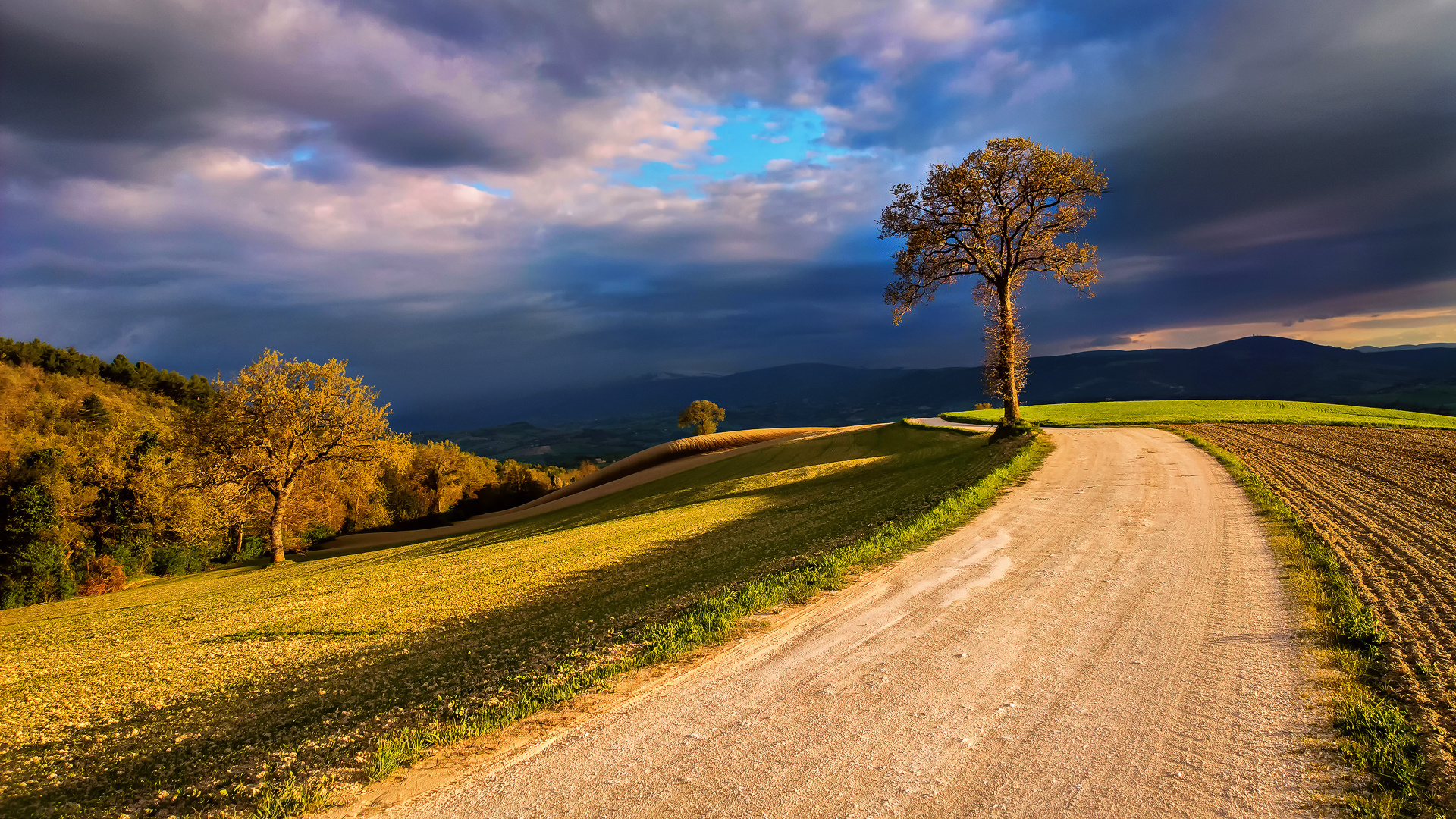 dirt-road-in-the-country