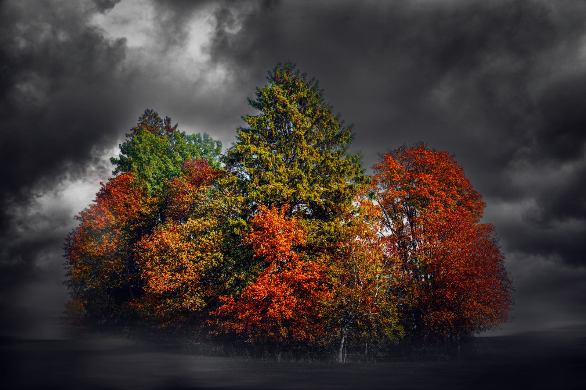 4K Ultra HD Fall Forest: Vibrant Autumn Trees Amid Stormy Skies by ...