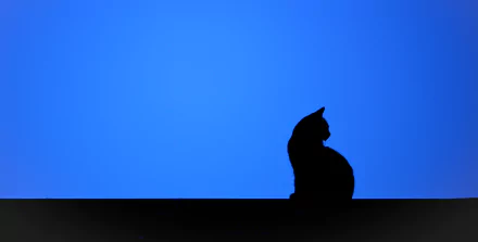 blue silhouette Animal cat HD Desktop Wallpaper | Background Image