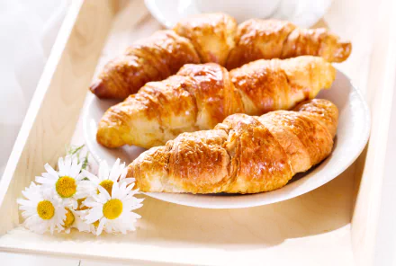 breakfast food croissant HD Desktop Wallpaper | Background Image