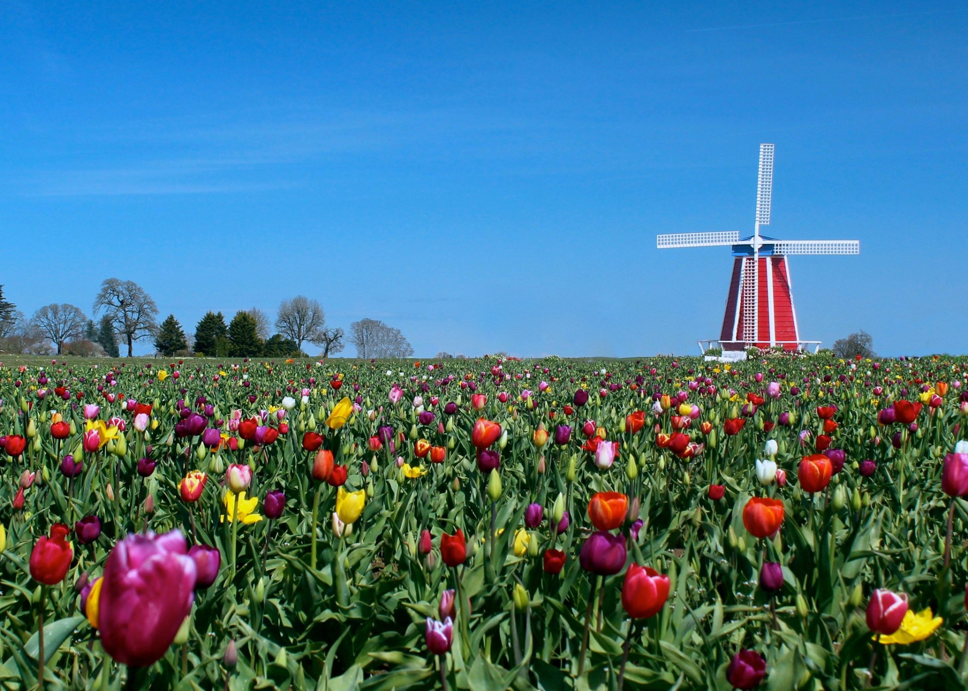 Man Made Windmill Hd Wallpaper