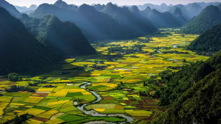 A stunning landscape of green rice terraces in Vietnam, framed by mountains and illuminated by sunlight, showcasing the vibrant colors of the fields and winding river below.