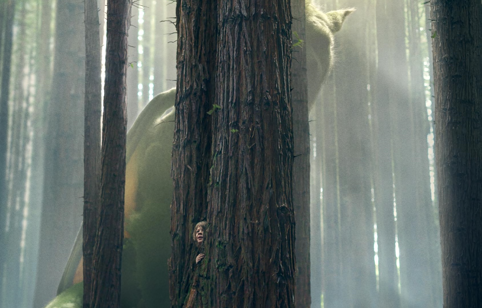 Download Pete's Dragon Movie Pete's Dragon (2016) Wallpaper