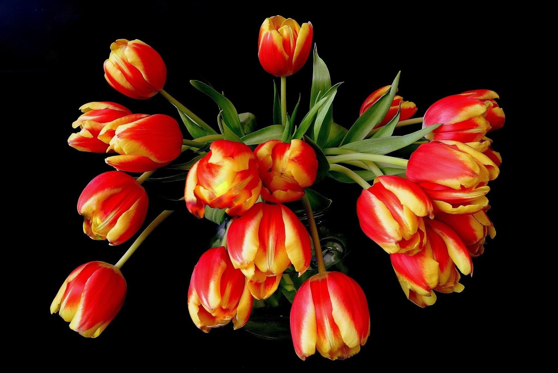 Download Vase Tulip Man Made Flower HD Wallpaper
