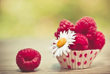 Close-up of fresh raspberries with a daisy, displayed in a playful cup with hearts. Vibrant and inviting, this HD wallpaper celebrates the beauty of fruit.