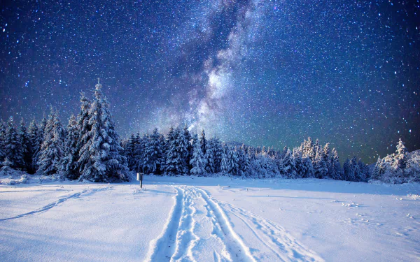 A snowy forest road under a star-filled winter night sky, captured in stunning 4K Ultra HD resolution.