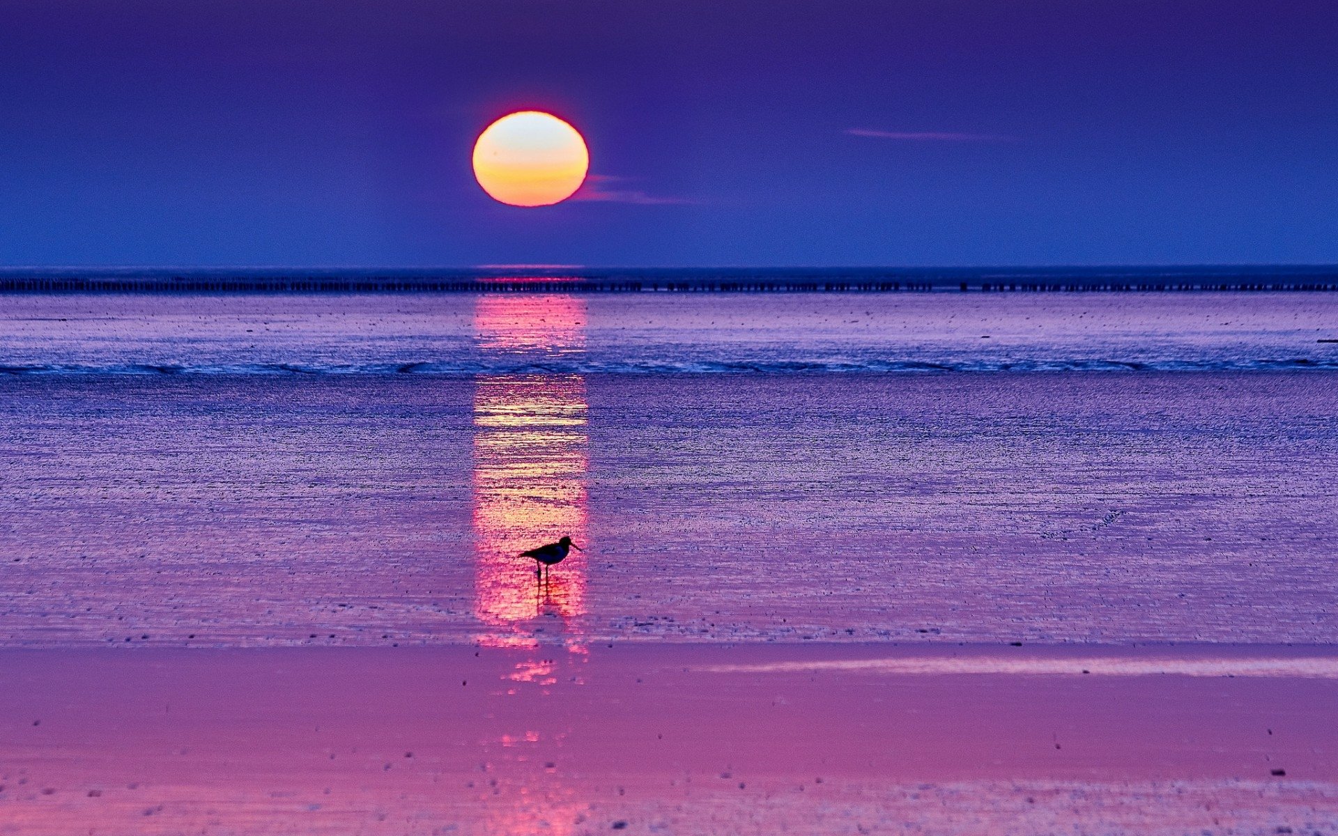 Sunrise, aj, beach, morning, sea, sky, srilanka, sun, waves, HD phone  wallpaper | Peakpx