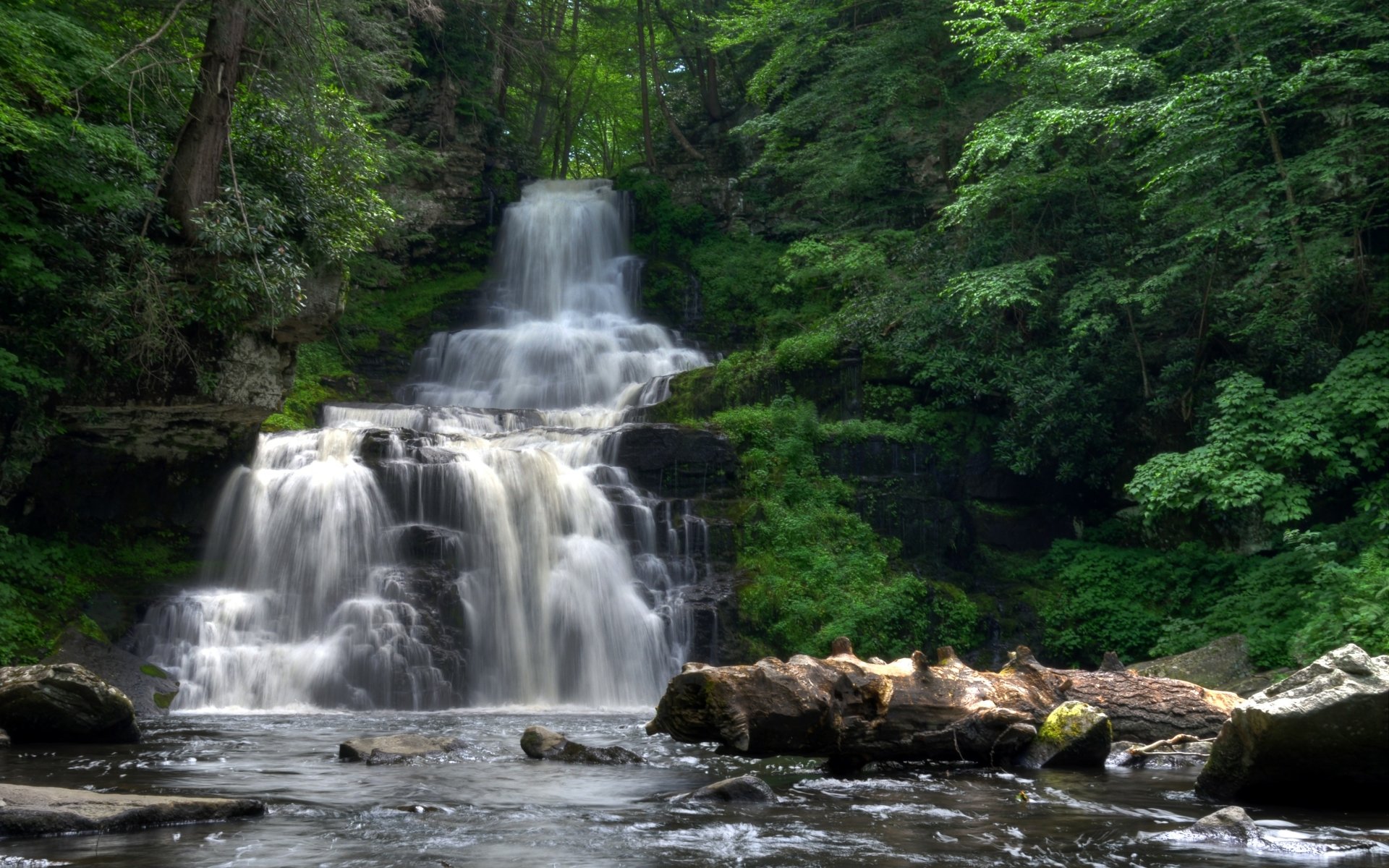 4K Ultra HD PC wallpaper: lush green forest nature scene with a waterfall cascading over mossy rocks into a tranquil pool, dense foliage framing the view.