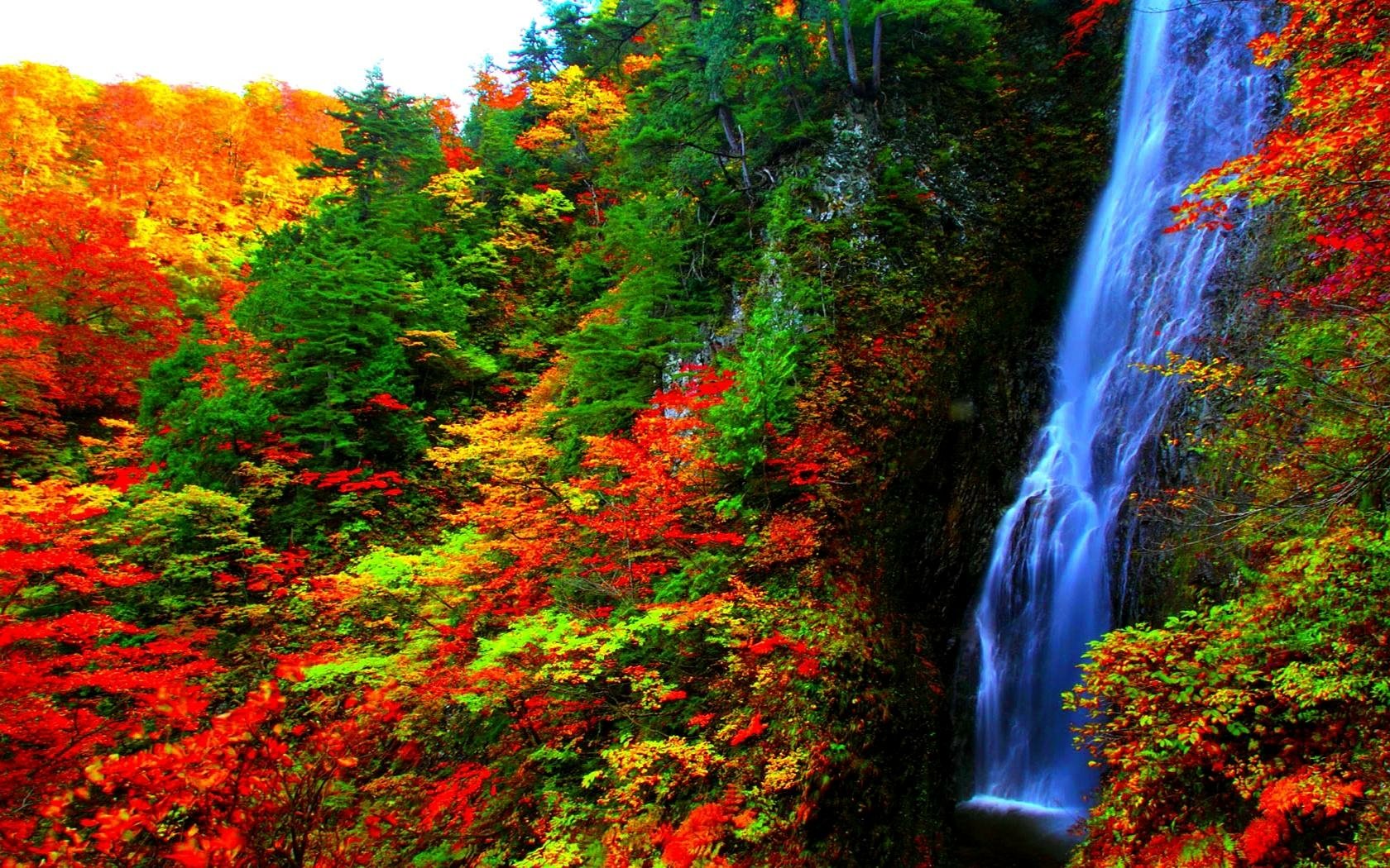 Красивый водопад и осенний лес