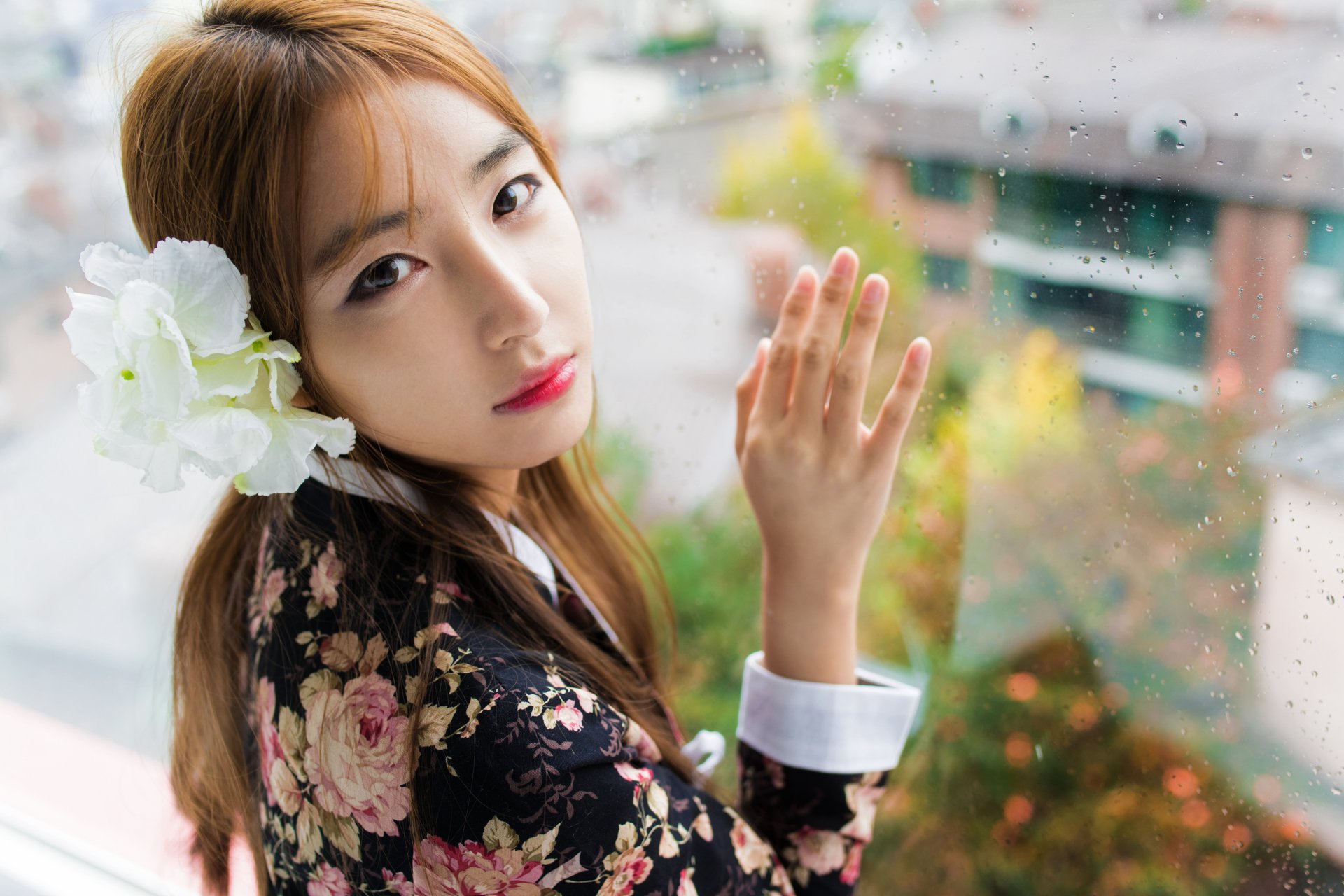 HD wallpaper of an Asian brunette model with brown eyes and lipstick, wearing a floral outfit, posing by a window with a white flower in her hair.