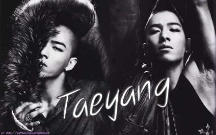 music taeyang HD Desktop Wallpaper | Background Image