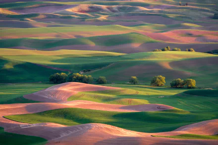 Rolling hills and fields in the Tuscan countryside of Italy, bathed in soft light, captured in an HD landscape photography wallpaper.