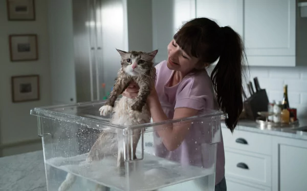 Malina Weissman Kit Harington movie Nine Lives HD Desktop Wallpaper | Background Image
