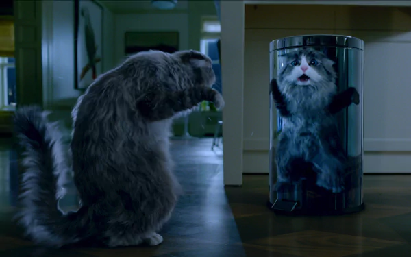 movie Nine Lives HD Desktop Wallpaper | Background Image