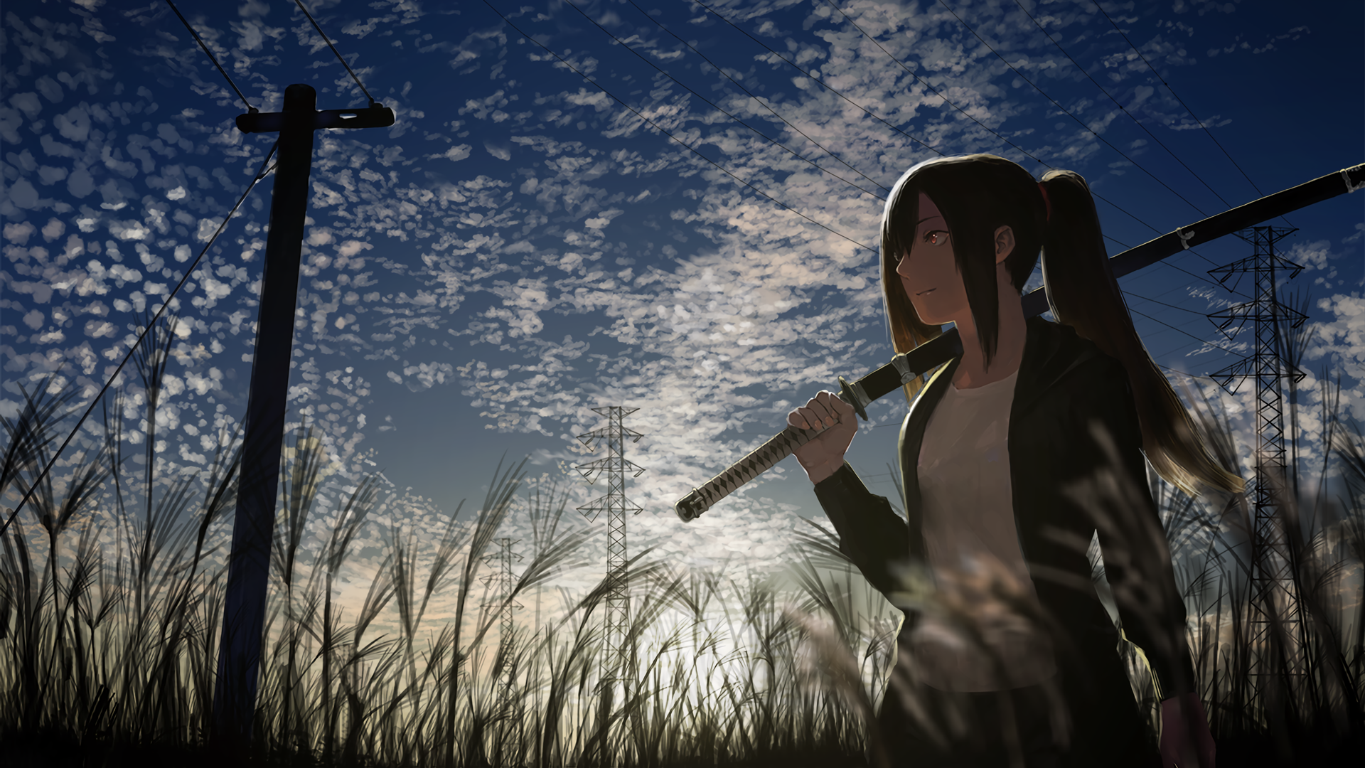 A dynamic anime original image featuring a character holding a sword, silhouetted against a dramatic sky, with tall grass and power lines in the background. A stunning HD desktop wallpaper.