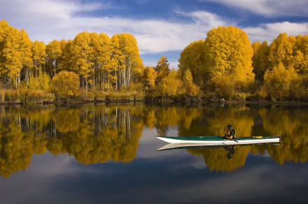 HD desktop wallpaper: fall trees reflected on a glassy lake with a lone kayaker in a boat gliding across the mirror-like water — nature photography.