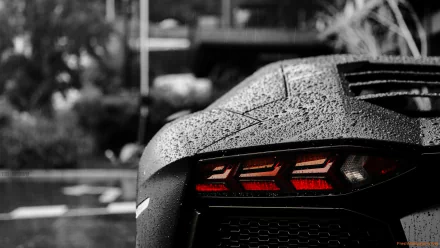Close-up rear view of a wet black Lamborghini Aventador, highlighted by glowing red tail lights, captured in an HD PC desktop wallpaper and background.
