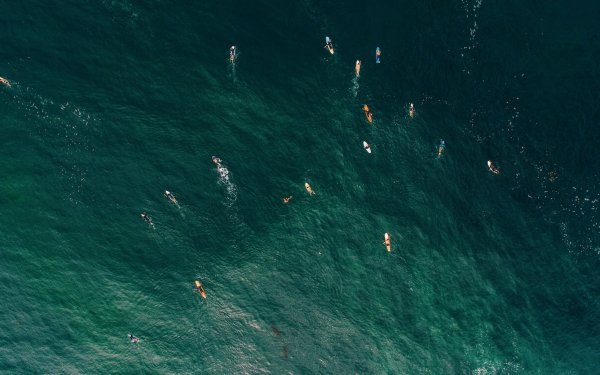 Sports Surfing Sea HD Wallpaper | Background Image