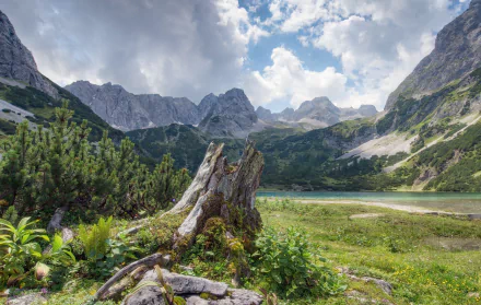 HD desktop wallpaper of a mountain landscape featuring a tree stump in the foreground, surrounded by lush greenery and a serene lake under a partly cloudy sky.