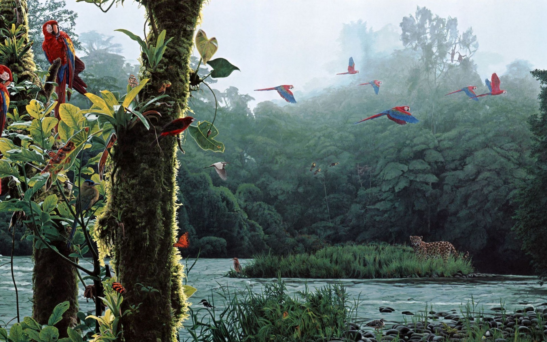 Earth Jungle HD Wallpaper | Background Image