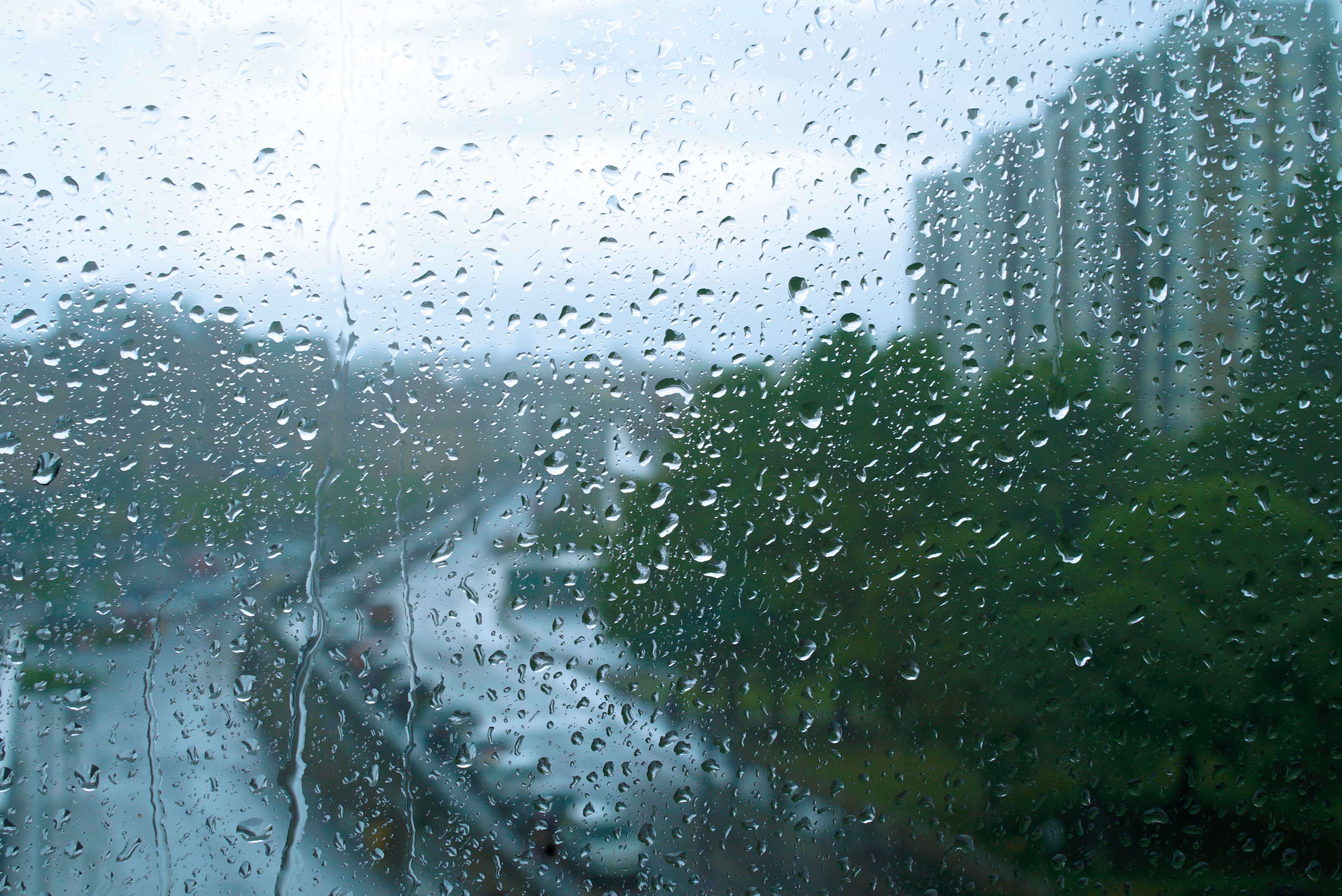 Rain on a window by mjtrimble