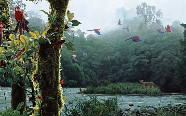 HD desktop wallpaper of a misty jungle scene featuring a leopard near the water and macaws flying and perched around vibrant foliage.