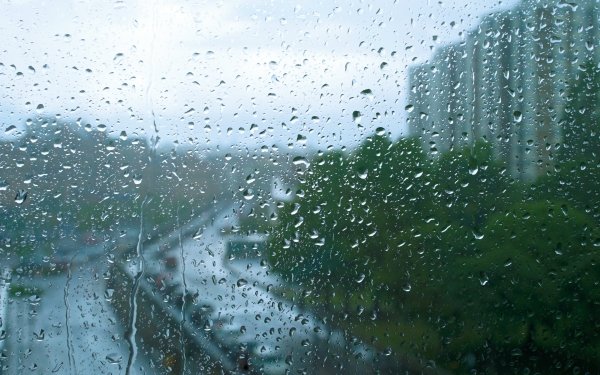 Photography Rain Raindrops Water Drop Window Blur HD Wallpaper | Background Image