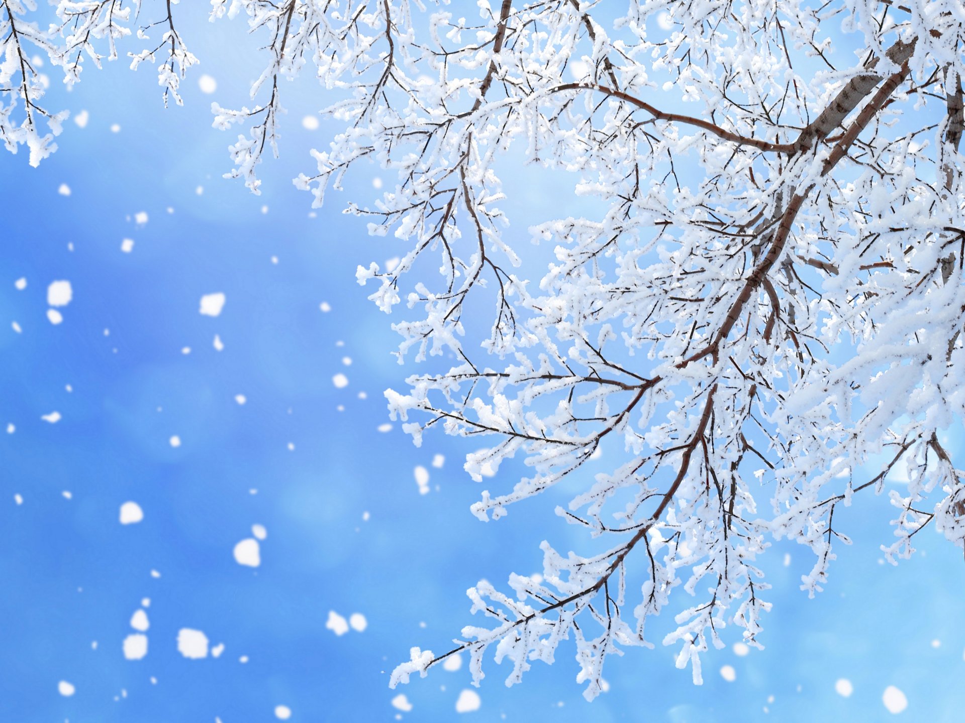 Winter Elegance: 4K Ultra HD Snowflake & Branch Wallpaper