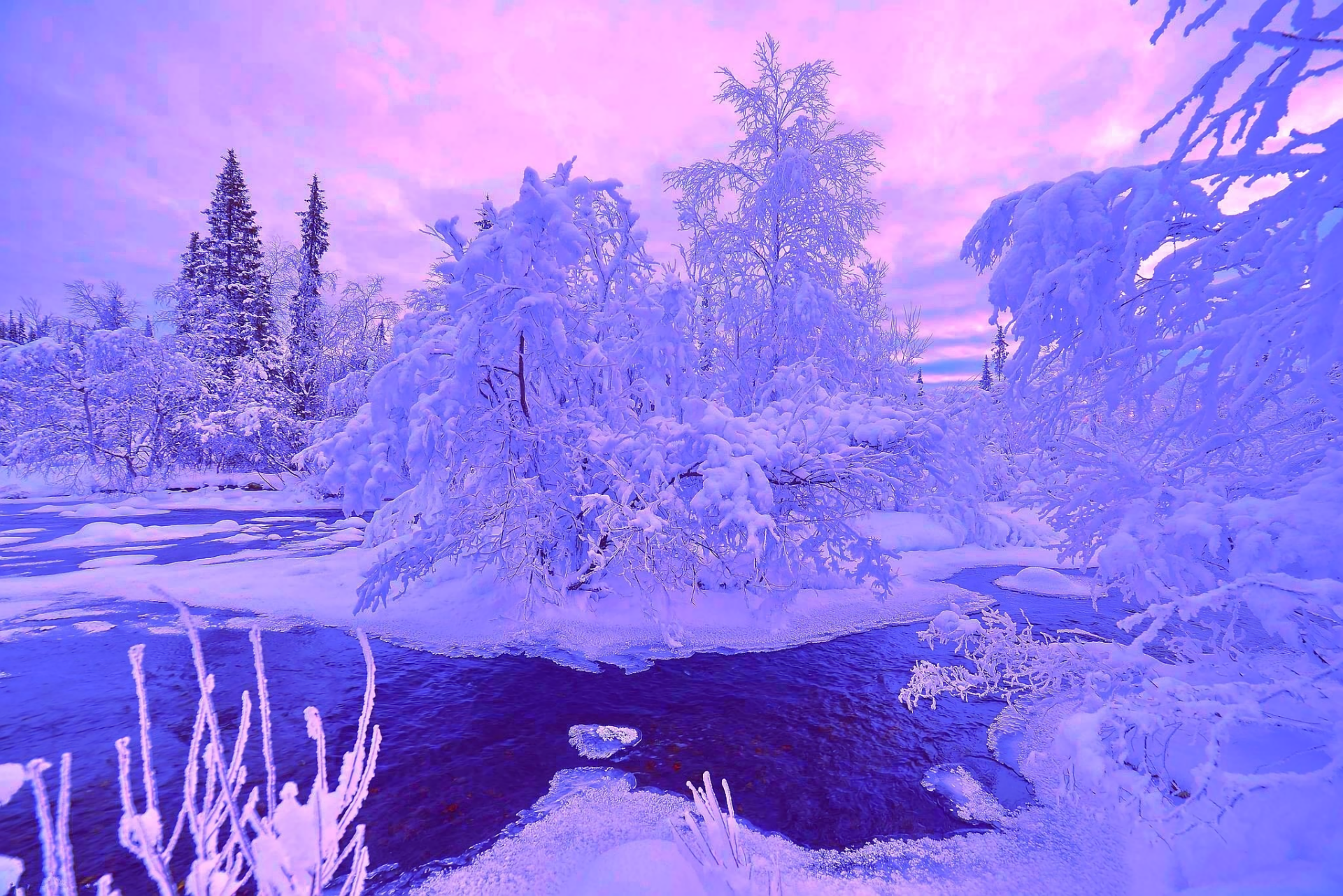 Pink Winter Sunset HD Wallpaper | Background Image | 2048x1366
