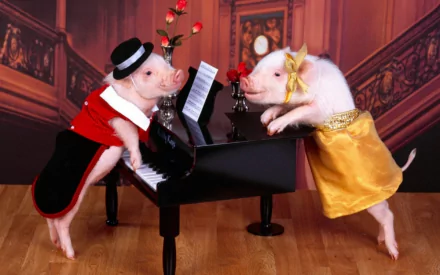 Two dressed-up pigs perform at a piano, one in a tuxedo and the other in a yellow gown, surrounded by roses. This HD wallpaper captures their charming musical moment.
