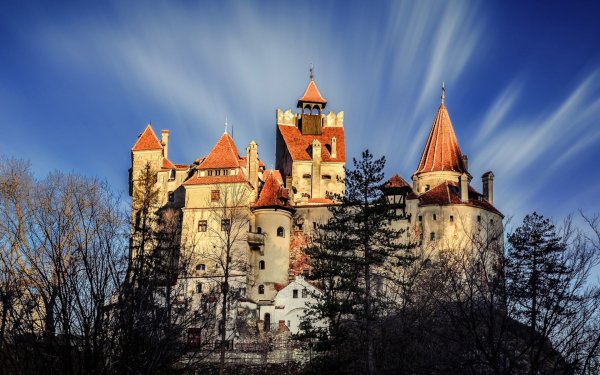 Man Made Bran Castle Castles Romania Transylvania Castle HD Wallpaper | Background Image