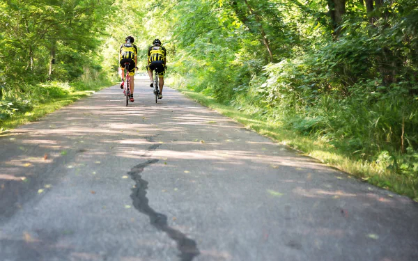 Two men out for a morning bike ride by Jill Wellington