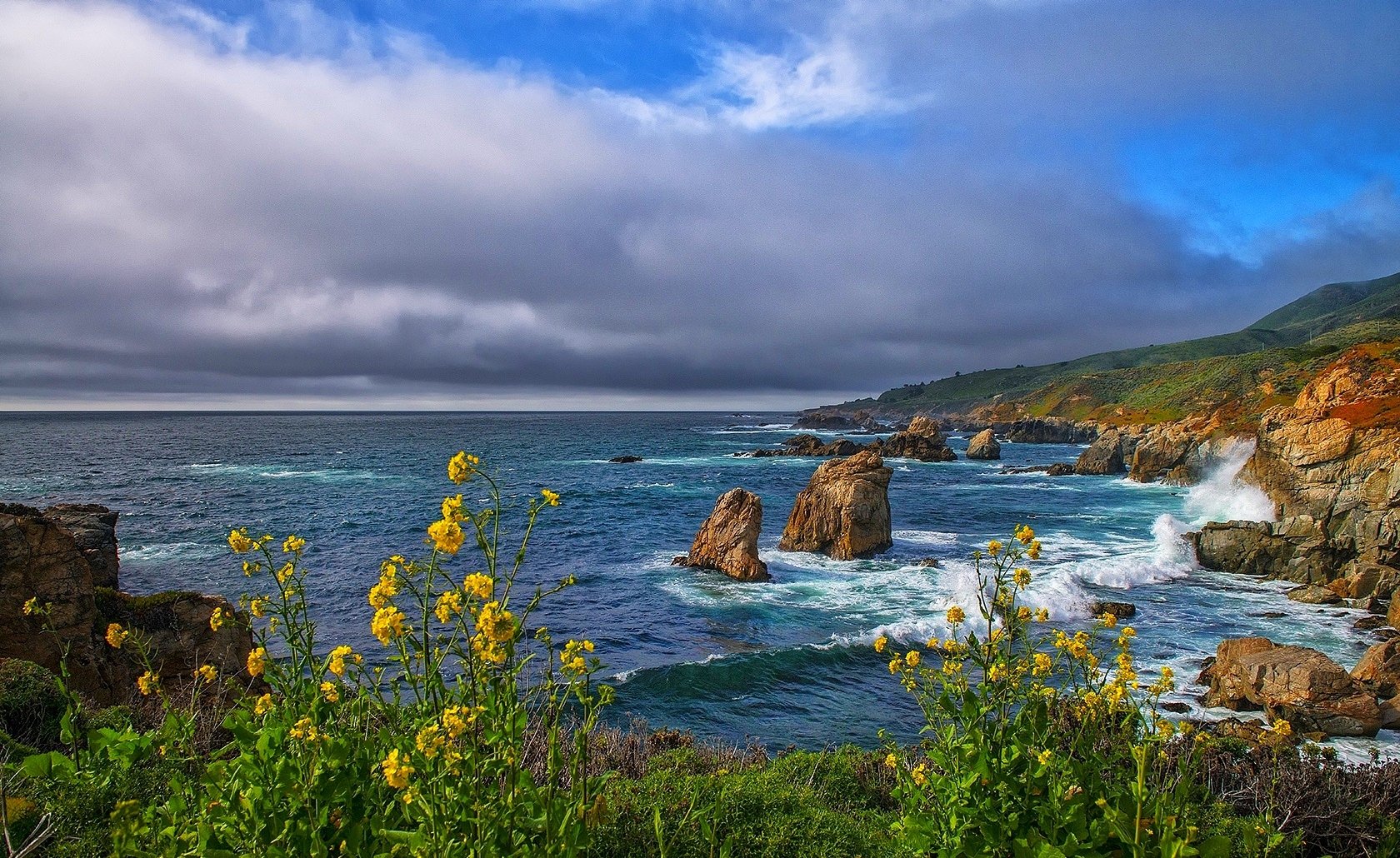 HD PC desktop wallpaper and background: coastal nature scene with yellow wildflowers in the foreground, rocky coastline and ocean waves stretching to the horizon.