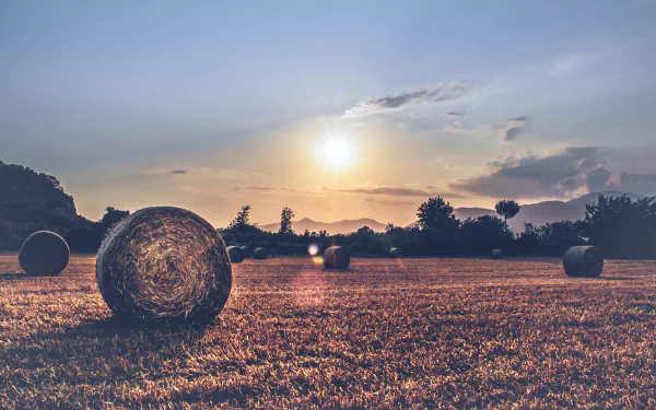 A 4K Ultra HD desktop wallpaper of a sunlit field with haystacks scattered across the landscape under a partly cloudy sky at sunset.