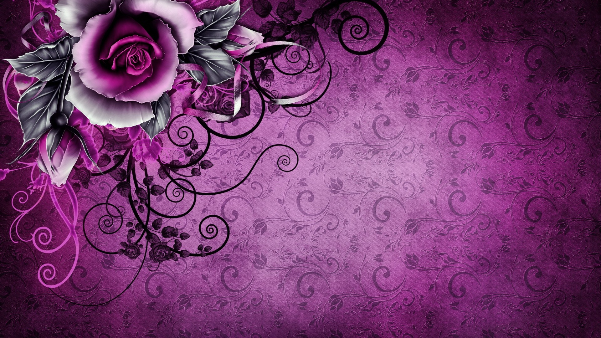 purple rose background wallpaper