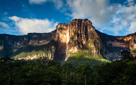 A stunning view of Angel Falls in Venezuela, showcasing a majestic waterfall cascading down a rocky cliff amid lush green forest and a vibrant blue sky.