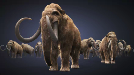 HD desktop wallpaper featuring a herd of woolly mammoths against a dark background, highlighting the majestic prehistoric mammals in detailed, lifelike quality.