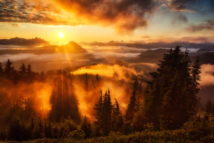 HD desktop wallpaper showcasing a fiery sunset landscape with sunbeams piercing through fog over a dense forest.