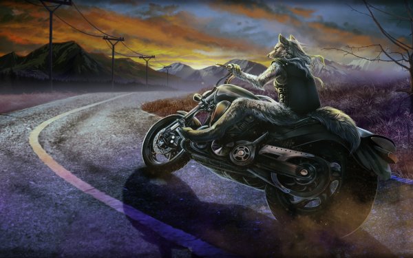 Fantasy Wolf Fantasy Animals Creature Motorcycle Furry HD Wallpaper | Background Image