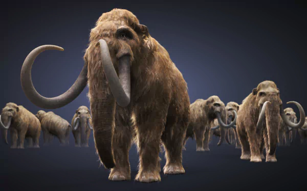 HD desktop wallpaper featuring a herd of woolly mammoths against a dark background, highlighting the majestic prehistoric mammals in detailed, lifelike quality.