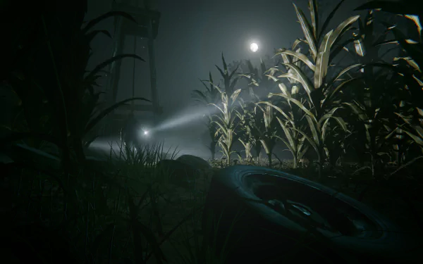 HD wallpaper featuring a dark, atmospheric scene from the video game Outlast 2, showcasing cornfields illuminated by a beam of light under a night sky.