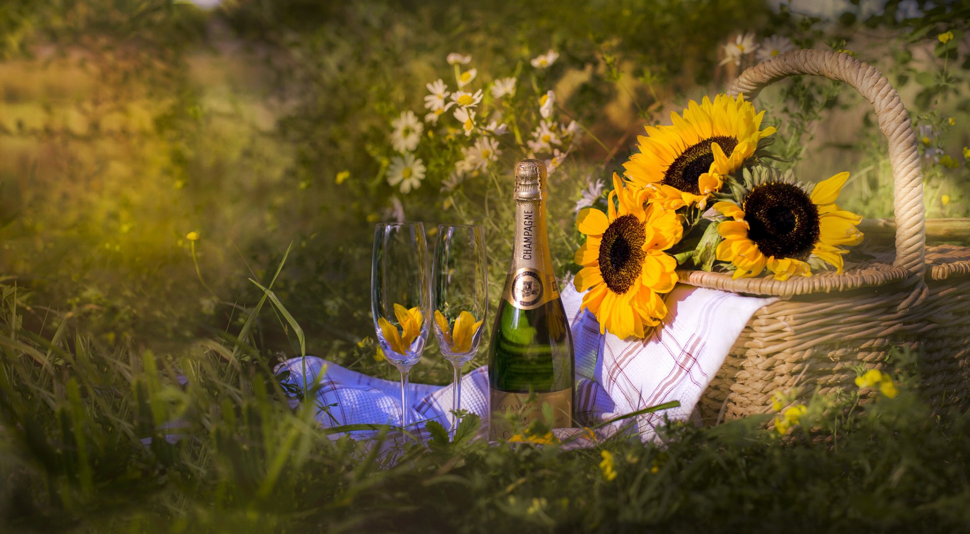 HD desktop wallpaper: still-life picnic scene with a bottle of champagne, two glasses, sunflowers in a wicker basket and a blanket on a grassy meadow, warm outdoor photography.