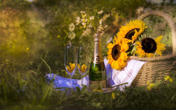 Photography Still Life Picnic Champagne Sunflower Glass HD Wallpaper | Background Image