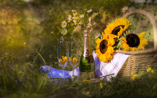 HD desktop wallpaper: still-life picnic scene with a bottle of champagne, two glasses, sunflowers in a wicker basket and a blanket on a grassy meadow, warm outdoor photography.