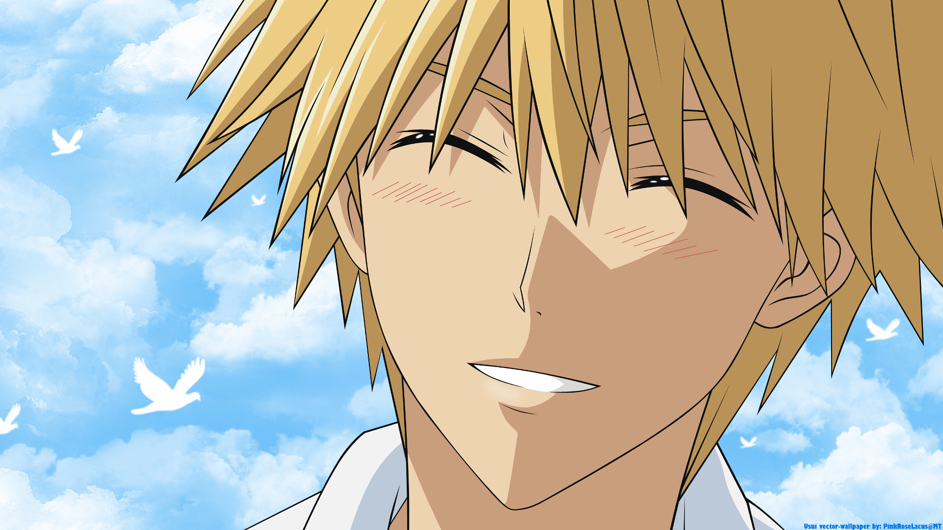 Maid Sama Hd Wallpaper Background Image 1920x1080 Id723995